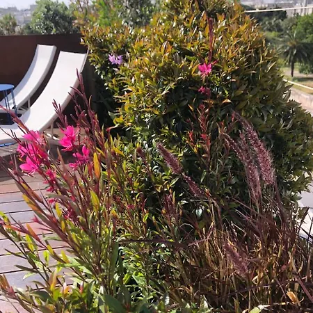 Palazzo Biancofiore, & Rooftop 住宿加早餐酒店 奥斯图尼