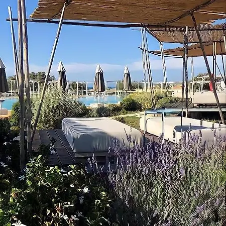 Palazzo Biancofiore, & Rooftop 4* 奥斯图尼