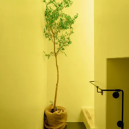 住宿加早餐酒店 Palazzo Biancofiore, & Rooftop