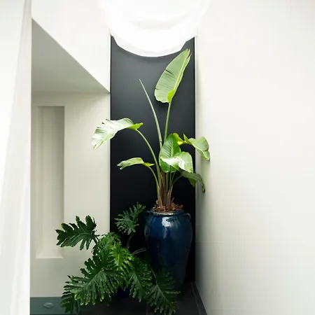 Palazzo Biancofiore, & Rooftop 4*