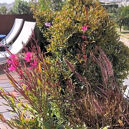 Bed & Breakfast Palazzo Biancofiore, & Rooftop 4*
